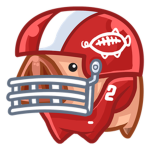 National football league fan /nfl fans