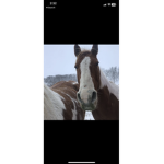~ + *Gravity Stables* + ~
