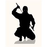 Ninjas shadow