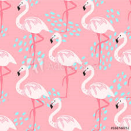 Flamingo Hangout