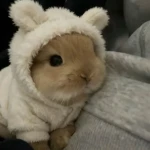 praiseᅠᅠᅠᅠᅠᅠᅠᅠ Group Thumbnail