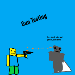 gun test