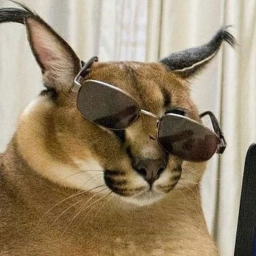 хз