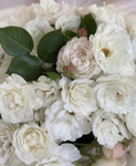 Radiant Roses Always Blossom
