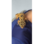 Mr. Randall