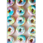 The Rainbow Donut Squad