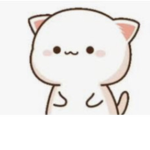 Kitty_squad!!!!!!!!