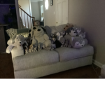 The Great Wolf group Party