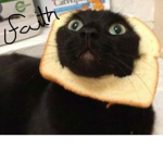 Faith’s Meows
