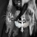 reguIations Group Thumbnail