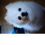 reeeeeeeeeeeeeeea