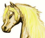~.~ Elite Ridding Academy ~.~
