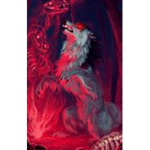 ShadowsNIghtWolf Studios