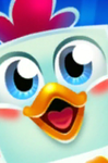 Chick fan-group