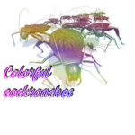 The colorful cockroaches