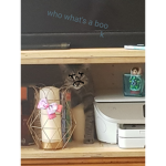 Fam and friendos