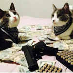 m4cr0