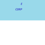 E_corp