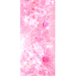 ANN@nn