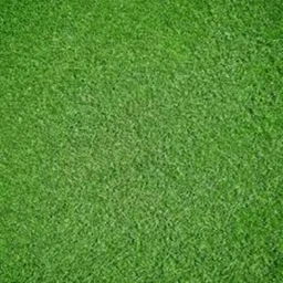 touch grass icon