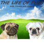 《 The Life Of Pugs 》