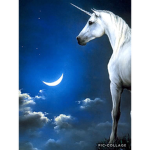 <3 Unicorns 🦄