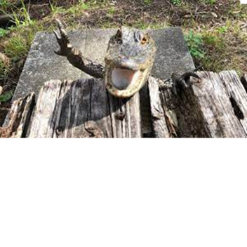 florida???
