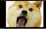 Doge_Dudes