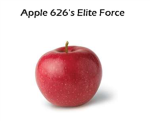 apple626's elite force