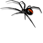 darknesss shadow