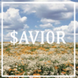 SAVIOR HOME STORE