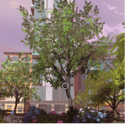 the living lovely city RP!