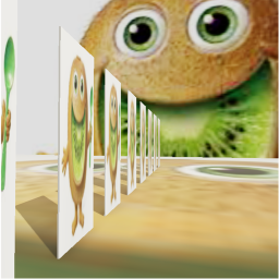 kiwi's place