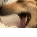 ### ########################