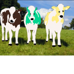The | Cow | Family