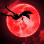 Night Raidd