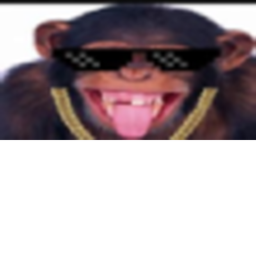 MONKE GANG HANGOUT