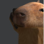 Capybara shirt's and pant's!