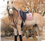 Berry horses