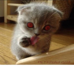 XIX OTF.