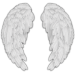 wingsonmyback