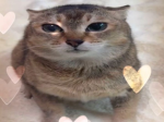 Doris's UGC