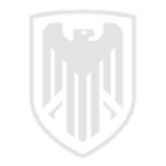 Stealth Insurgent Agency
