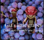 Gia's little grapes