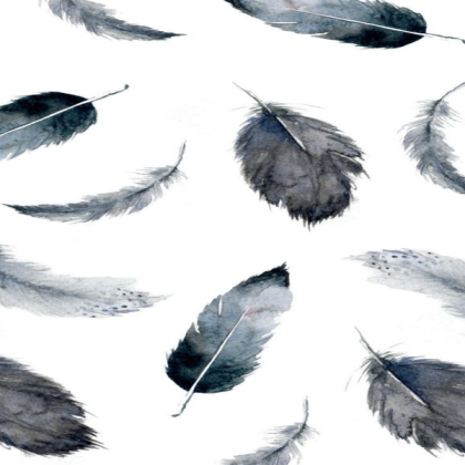 Feather wallpaper Roblox decal