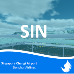 Singapore Changi Airport 新加坡樟宜机场