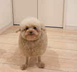 Albert Albert Albert Albert Albert Albert Albert