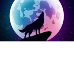 THE WOLF GANG RULES