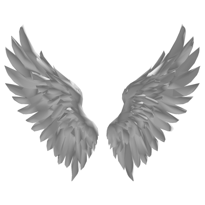 Light Grey Angel Wings