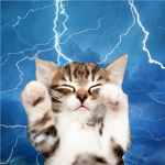 KiTTEN STRiKES